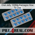 Oral Jelly 100Mg Kamagra How To Use 23